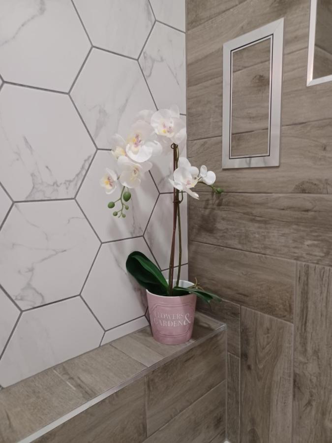 Tara Deluxe Varna